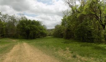 1826 County Road 372, Annapolis, MO 63620