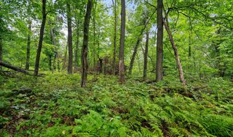 Lt3 County Road N, Arkansaw, WI 54721