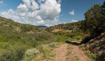 3691 E Sopris Creek Rd, Basalt, CO 81621