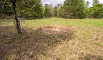 493 County Road 151, Alton, MO 65606