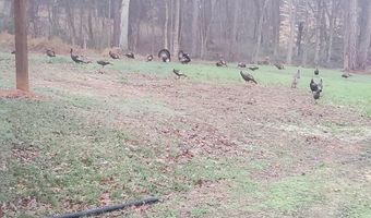 170 Bakers Chapel Church Rd, Big Sandy, TN 38221
