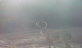 Forestry Rd 356, Beaumont, MS 39423