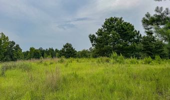 Legacy Shores lot 66, Alberta, AL 36720