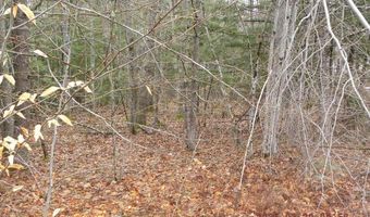 TBD Ole Farnham Road, Alfred, ME 04002