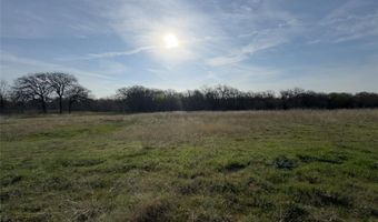 330 Rolling Ranch Blvd, Alvord, TX 76225