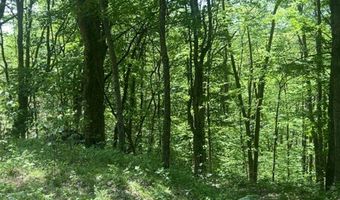 Wolf Hill Rd, Bethpage, TN 37022