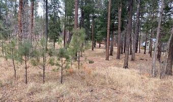 000 COUNTY ROAD 2196 LOT 74 AFE, Alpine, AZ 85920
