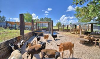 715 FAZZINI Rd, Babson Park, FL 33827