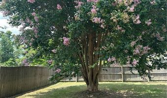 401 NW 7th, Atkins, AR 72823