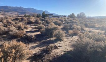 310 Ophir Rd, Dayton, NV 89403