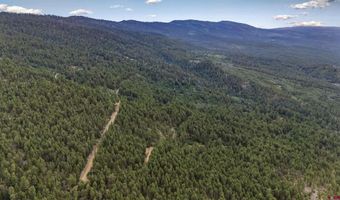 TBD Unit 3 Forest Lakes, Bayfield, CO 81122