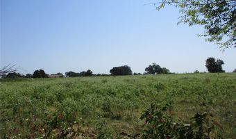 Rains County Road 2360, Alba, TX 75410