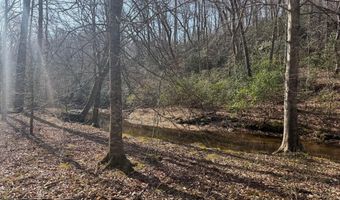 PAYNES POND RD, Arvonia, VA 23004