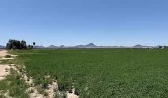 W Desert Rose Road, Arlington, AZ 85322