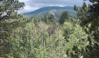23 2nd Ave, Allenspark, CO 80510