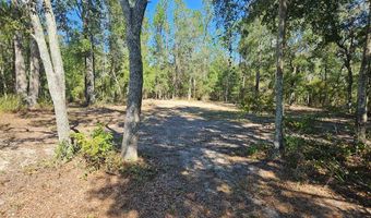 TBD 62nd Pl, Bell, FL 32619