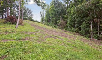 26417 Old Saltworks Rd, Abingdon, VA 24210