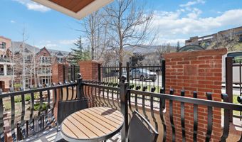 415 E Dean St Unit 10 Weeks 51 + 52, Aspen, CO 81611