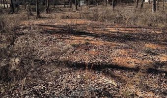 Lot 1 Mount Olive, Bauxite, AR 72011
