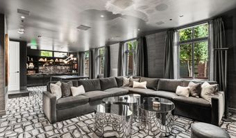 627 E Hopkins Ave, Aspen, CO 81611