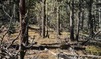 Taos Dr lot 173, Angel Fire, NM 87710