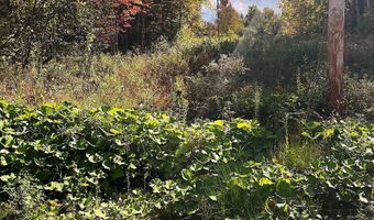 00 Duck Pond Rd, Barton, VT 05822