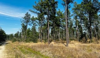5-6 Laird Lane FM 357, Apple Springs, TX 75926