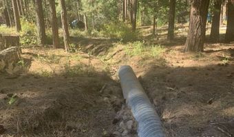 Edgewater Way lot 84, Adin, CA 96006