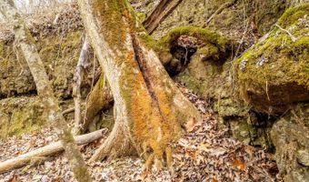 County Road 19-A, Alton, MO 65606