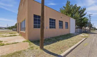 601 W Holland Ave, Alpine, TX 79830
