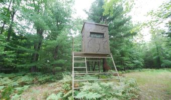 2782 River Rdg, Alger, MI 48610