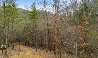 467 River Oaks Dr, Austinville, VA 24312