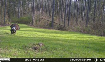 Highway 28, Abbeville, SC 29620
