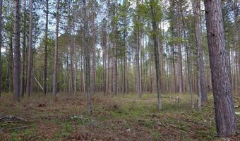 5826 S Morrison Rd, Alger, MI 48610