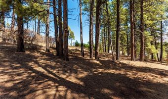 113 Pine Dr, Bayfield, CO 81122