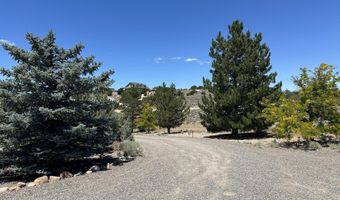 1515 Patrick Ct, Gardnerville, NV 89410