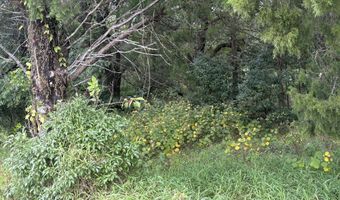 3319 GOLDEN GEM Rd, Apopka, FL 32712