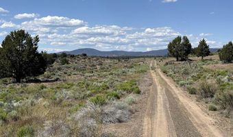 Medicine Mountain Drive 1, Beatty, OR 97621