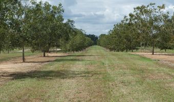 9953 Gravel Hl, Baconton, GA 31716