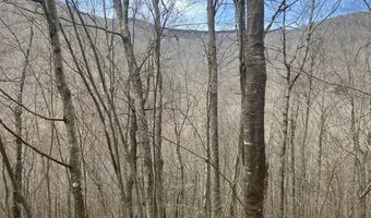 0 TBD Elleber Sods Rd, Bartow, WV 24920