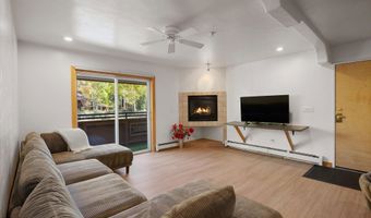 326 Midland Ave 306, Aspen, CO 81611