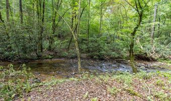 1034 Chestnut Flats Rd, Andrews, NC 28901