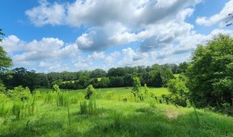 3350 SE Mt Pleasant Ln, Bogue Chitto, MS 39629