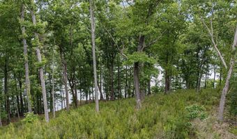 2317 WALDROP ROAD Lot 4 And 5, Ashville, AL 35953