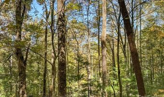 345 Christa Ln, Arden, NC 28704