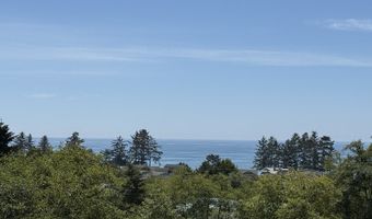 99106 E FREEMAN Ln, Brookings, OR 97415