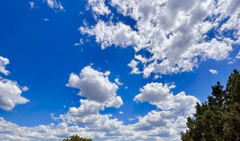 Tbd County Rd N8157, Concho, AZ 85924