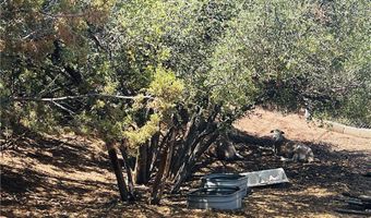 32401 Barber Rd, Agua Dulce, CA 91390