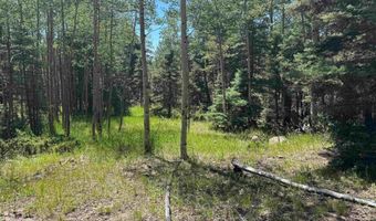 Lot 1012 El Camino Real, Angel Fire, NM 87710