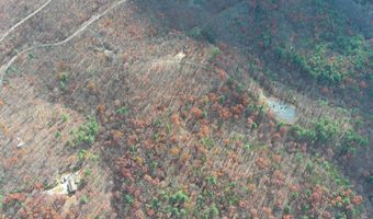 LOT # 28 CACAPON MOUNTAIN RETREAT, Augusta, WV 26704